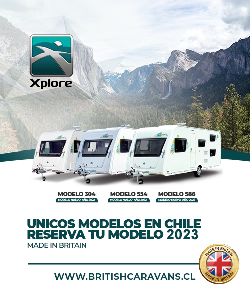 vis2 copia 4